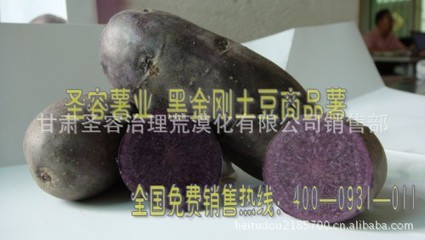 黑金剛土豆 荒漠化治理中的種植突破與品質(zhì)保障